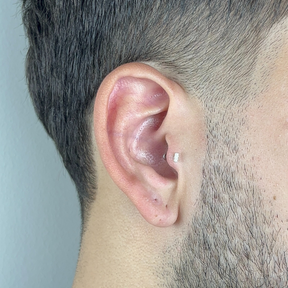 Piercing Masculino em Prata 925 - Palito Cravejado